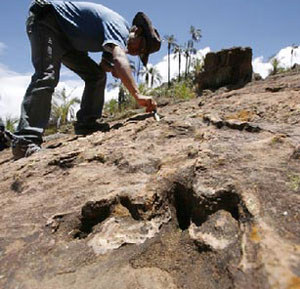 70-mn-year-old footprints shed new light on dinosaurs70-mn-year-old footprints shed new light on dinosaurs