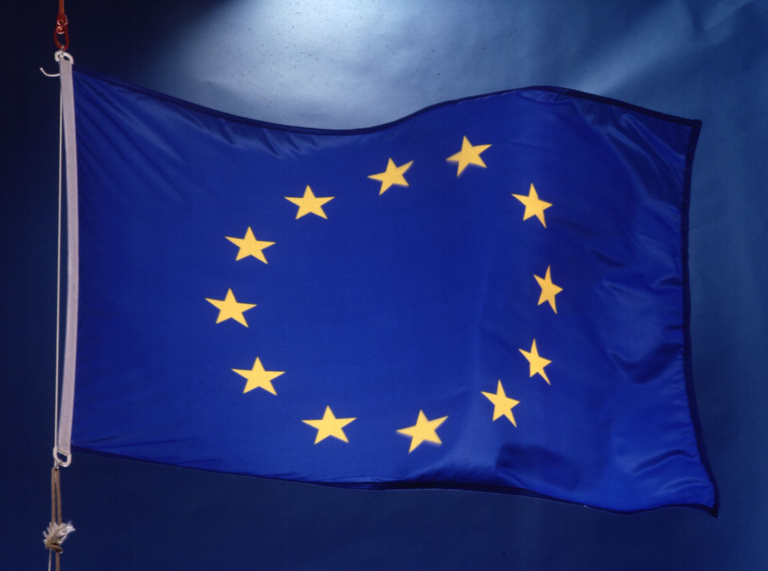 European Union Flag