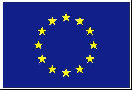 European Union Flag