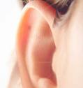 Ears