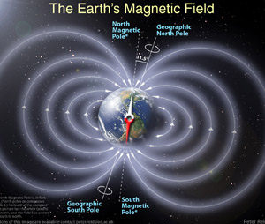 Robins ‘see’ Earth’s magnetic field to navigate