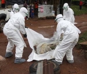 Ebola outbreak scale 'underestimated': WHO