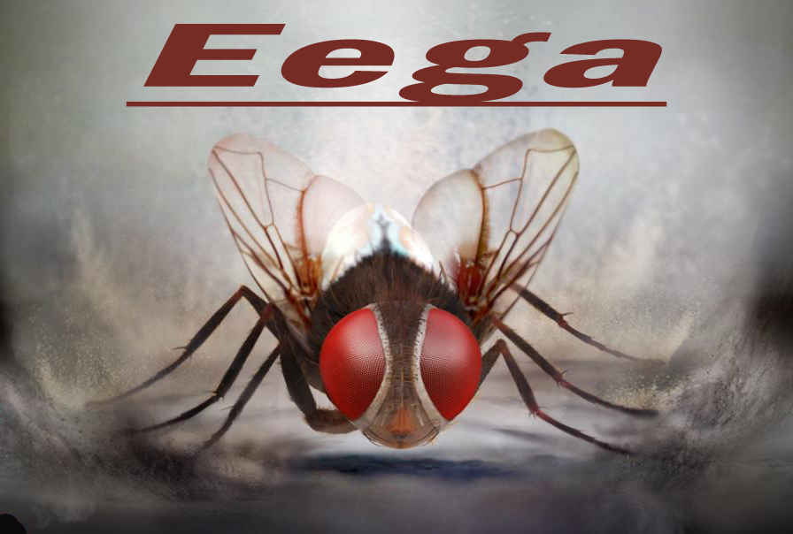 Eega-Movie