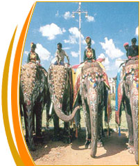 Elephants participated