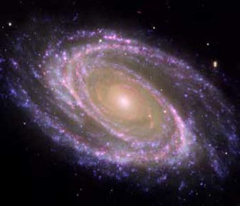 Elliptical Galaxies