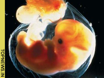 Scientists move a step closer to creating safe embryonic-like stem cells