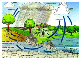 What environmental changes to expect over next 100 years