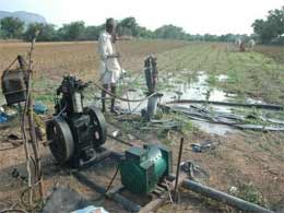 Government announces 50 per cent diesel subsidy for drought affected farmers