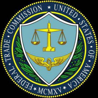 US government clamps down on blogger reviews