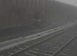 Fog wreaks havoc on train schedule in capital