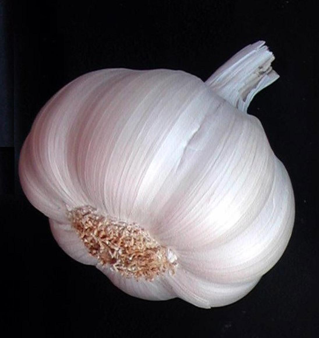 Garlic Images