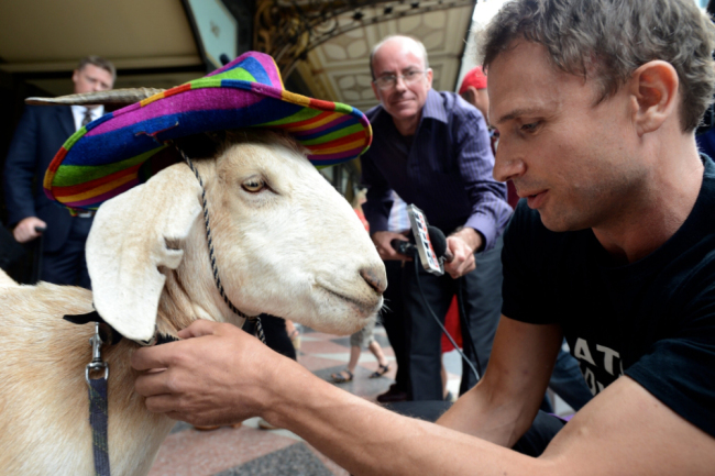 Gary-goat.j