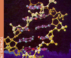 Gene exchange widespread among sex-manipulating bacteria