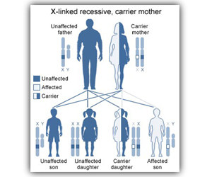 Gene mutation behind pupils’ low grades identified