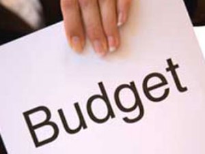 BJP targets Govt. prior to presentation of General Budget 