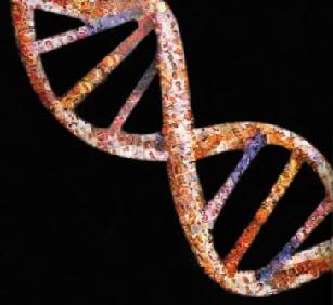 Genes may determine our ability to empathize
