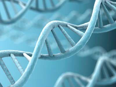 Genes-influence