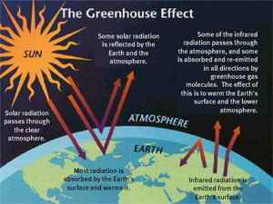 Scientists predict effect of global warming on spring flowers by 2080