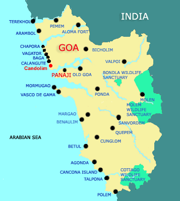 Goa chief minister sought police transfers: RTI activist