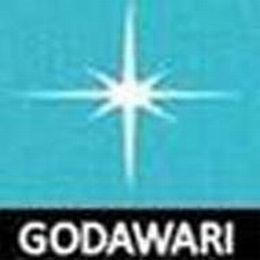 GODAWARI POWER AND ISPAT LTD