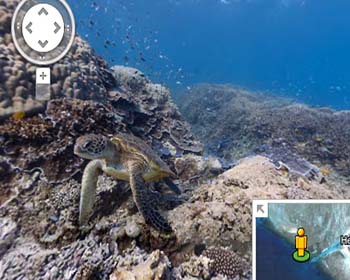 Google adds first underwater panoramic images to Google Maps