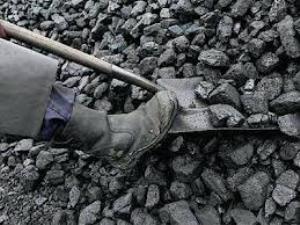 Govt. delays 17 coal blocks’ auction