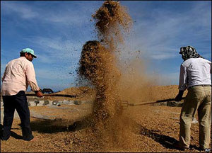 Greek farmers' protest cuts country in half