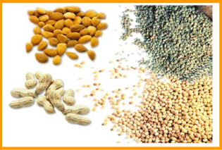 Guar, Pulses And Grains Market Watch By Nirmal Bang Securities        