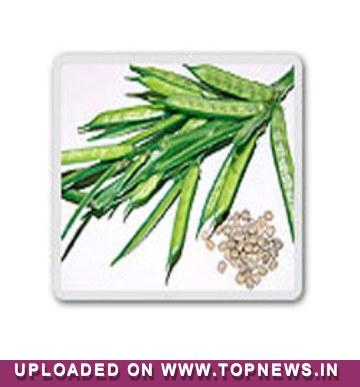 Guar Seed