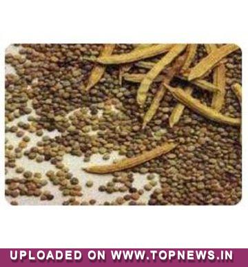 Commodity Trading Tips for Guarseed by KediaCommodity