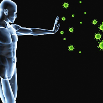 Biological catch-22 prevents generation of HIV blocking antibodies