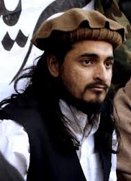 Pak Taliban ‘willing to negotiate with govt, but wont disarm’ 