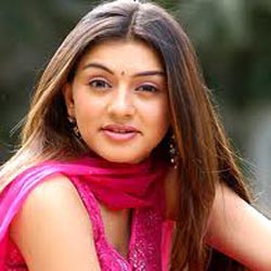 Hansika Motwani Rubbishes Rumors On Relationship With Prabhu Deva