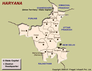 Polling agent killed in Haryana