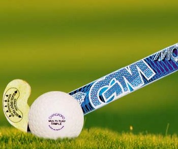 Hockey India elections on 28th July