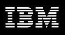 IBM earnings rise 22 per cent