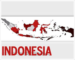 Nine killed after ferry sinks off Bali off 