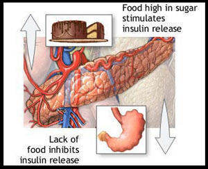 Boosting insulin levels can restore muscle-building process in elderly