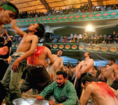 Iraq Shia festival
