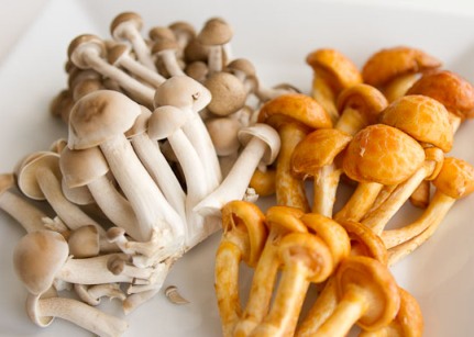 Japanese mushroom extract
