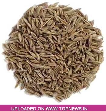 Commodity Trading Tips for Jeera by KediaCommodity
