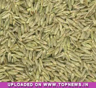 Commodity Trading Tips for Jeera by KediaCommodity