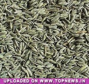 Commodity Trading Tips for Jeera by KediaCommodity