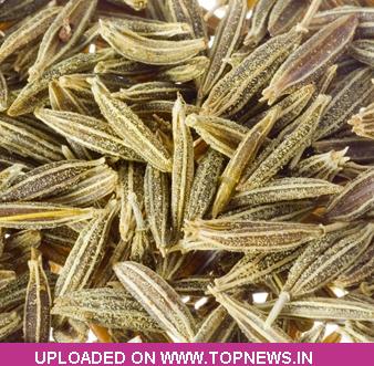 Commodity Trading Tips for Jeera by KediaCommodity