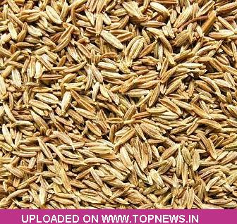 Commodity Trading Tips for Jeera by KediaCommodity