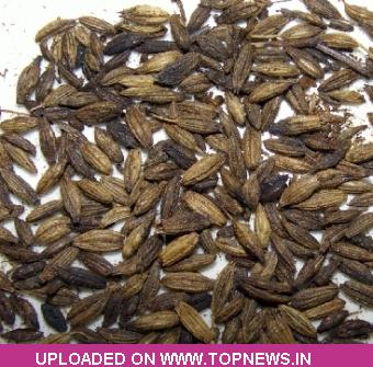 Commodity Trading Tips for Jeera by KediaCommodity