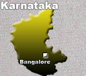 Police detain 110 party crowds in Bangalore