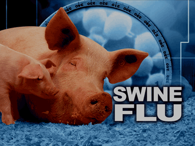 Rise in swine flu cases Kerala