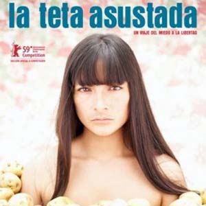 Oscar nomination for Peruvian film generates excitement