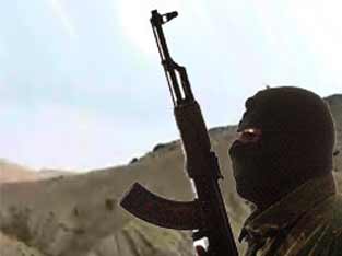 Security forces kill a militant in Kashmir